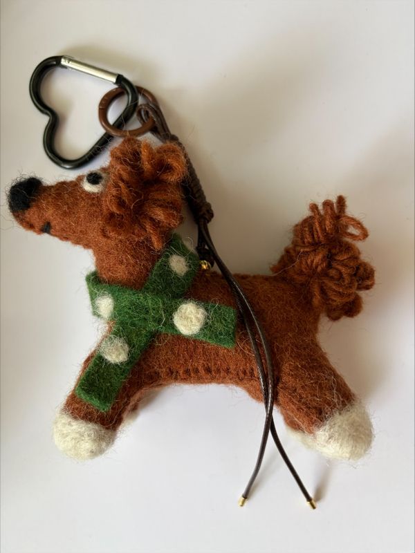 Hund med skjerf i cashmere